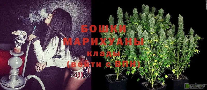 Марихуана OG Kush  ОМГ ОМГ ССЫЛКА  Гороховец  цена  